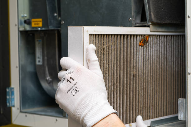 Best Air Duct Sanitizing Services  in South Run, VA