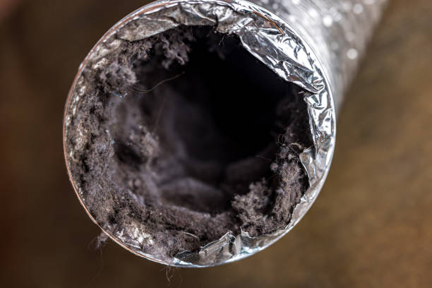 Best Air Duct Cleaning Near Me  in South Run, VA