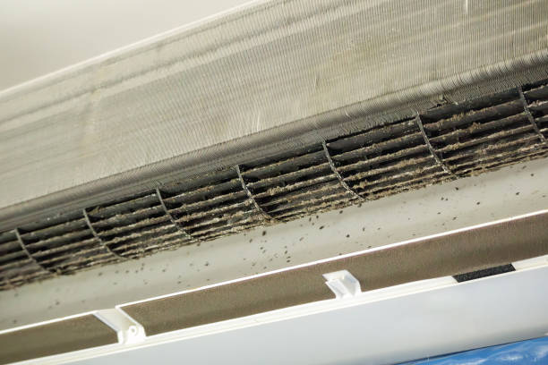 Best Home Air Vent Cleaning  in South Run, VA
